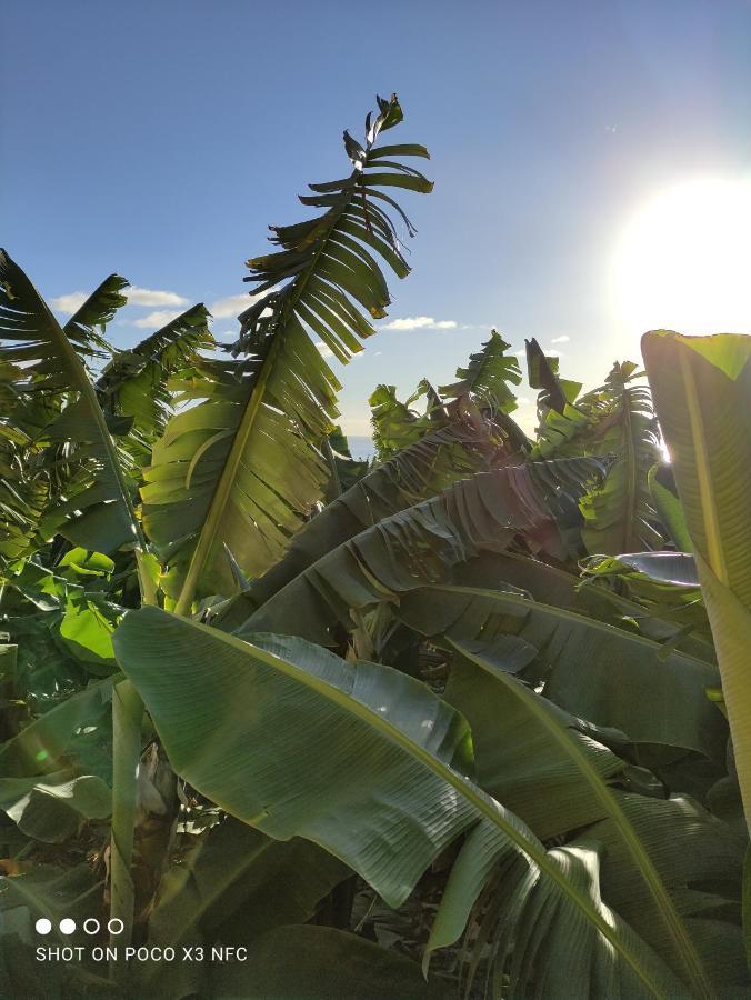 דירות טסקורטה Palma Tellus מראה חיצוני תמונה